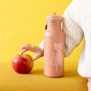 Stainless Steel Bottle 500 ml - Mrs Cat