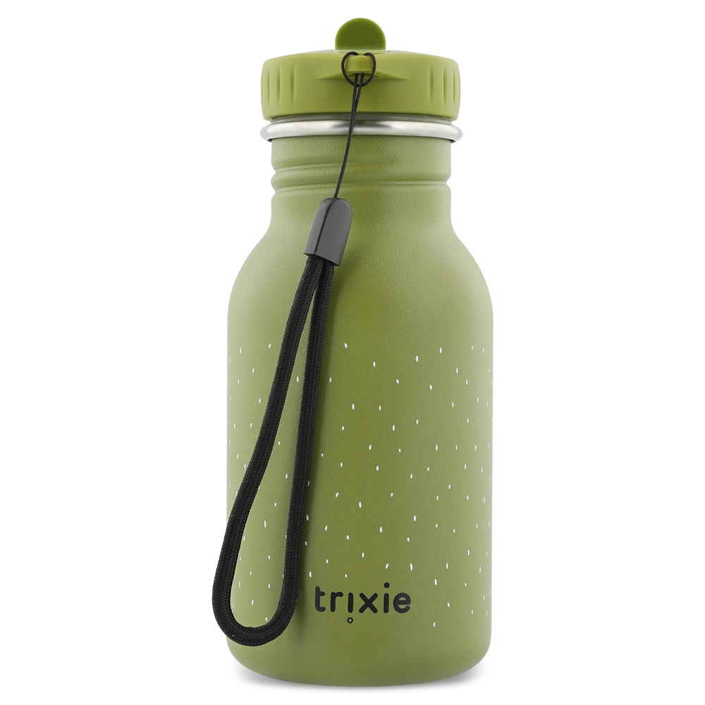 Stainless Steel Bottle 350 ml - Mr Dino - Image 2