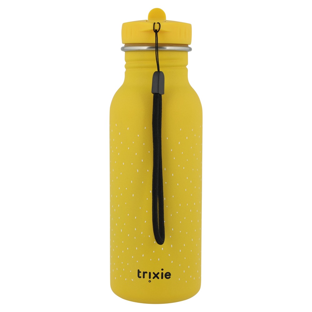 Stainless Steel Bottle 500 ml - Mr Lion - Image 2